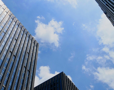 企業愿景